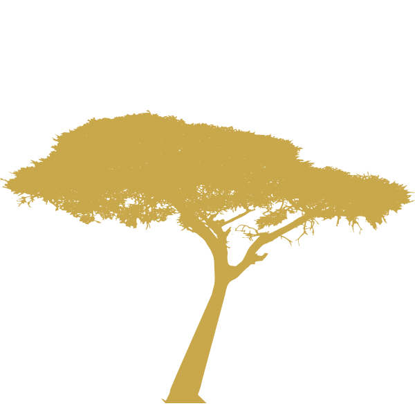 Acacia Wood