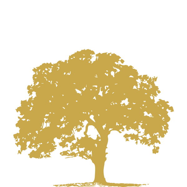 Mango Wood
