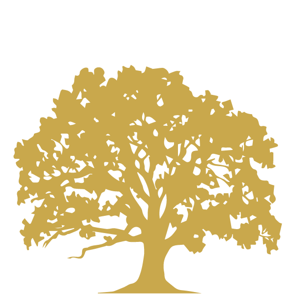 Oak Wood