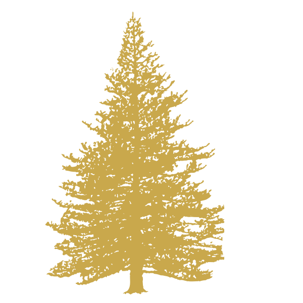 Pine Wood