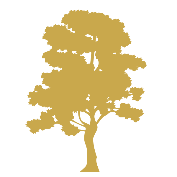 Sheesham Wood